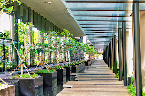 5 Ways To Introduce Biophilia Into Your Office Interior Design Green Terrace